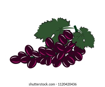 Grapes on white background
