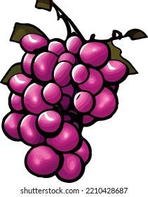 Uvas con un fondo blanco. 
