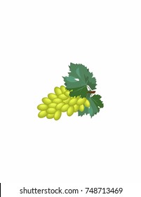 Grapes on a white background