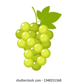 Grapes on a white background isolated. Vector illustration