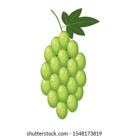 Grapes on a white background isolated. Vector illustration.