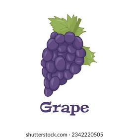 Grapes on a white background isolated. Vector illustration
