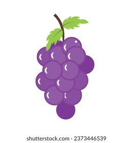 Grapes on a white background isolated. Vector illustration