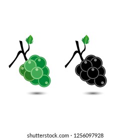 Grapes on white background. Vector illustration