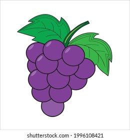 Grapes on a white background, vector