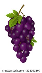 Grapes on white background. Vector