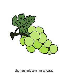 Grapes on a white background vector illustration. Doodle style. Design icon, print, logo, poster, symbol, decor, textile, paper, card. 