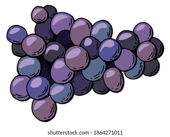 Grapes on a white isolated background. Cartoon style. Stock illustration.	