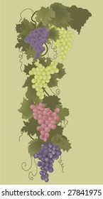 Grape's ornament.