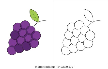 grapes outline and color with white background for children
