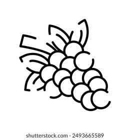 Grapes Outline Icon, Vector illustration