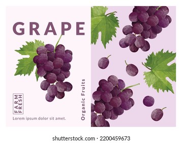 Grapes packaging design templates, watercolour style vector illustration.