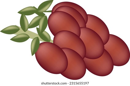 Grapes packaging design templates, watercolour style vector illustration.Grape Fruit Icon