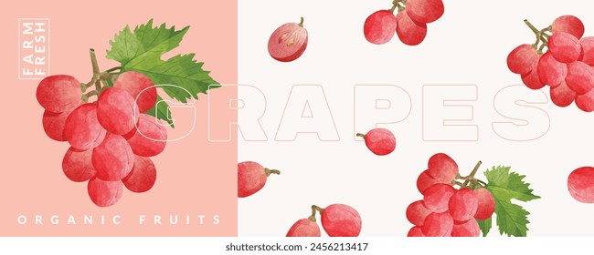 Plantillas de diseño de empaque de uvas, Ilustración vectorial de estilo de acuarela.