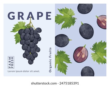 Grapes packaging design templates, watercolour style vector illustration.