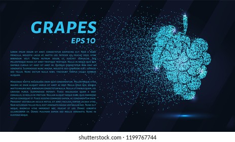 The grapes of particles. Grapes consists of small circles and dots. Vector illustration
