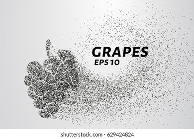 The grapes of particles. Grapes consists of small circles and dots. Vector illustration.