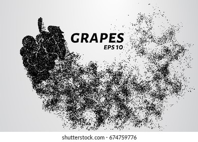 The grapes of particles. Grapes consists of small circles and dots. Vector illustration