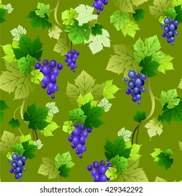 Grapes pattern on green background. The natural design for banner, ticket, leaflet and so on. 