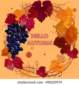 Grapes. Pattern, wreath of grape leaves and vines. Vector illustration. Beautiful illustration with grape pattern. Exclusive design. Hello, Autumn! 