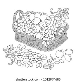 Grapes and peaches in basket. Cartoon vector hand drawn abstract illustration