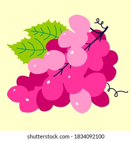 Grapes pink, hand drawn vector illustration