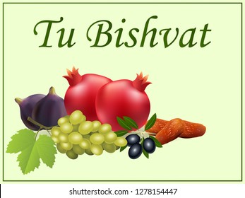 grapes, pomegranates, olives, dates and figs for the jewish holiday " Tu Bishvat"( New year of the trees)