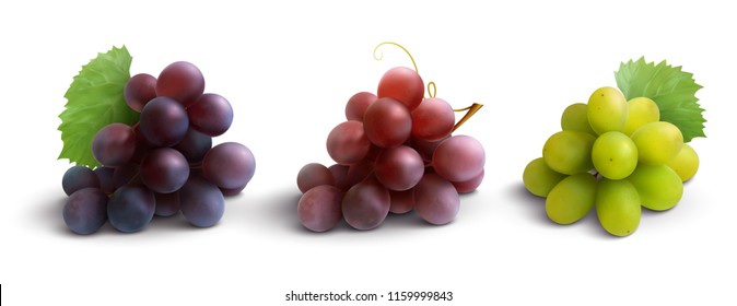 Grapes realistic composition with red rose and white grapes isolated vector illustration