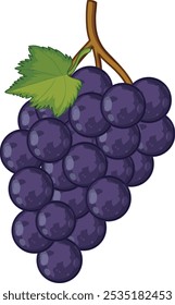 Composição realista de uvas com uvas de rosa isoladas