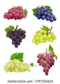 Grapes realistic. White and black grapes with leaves natural plants wine symbols vector collection