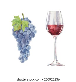 Grapes and red wine in a glass  isolated on a white background.Vector, watercolor hand drawn  illustration.