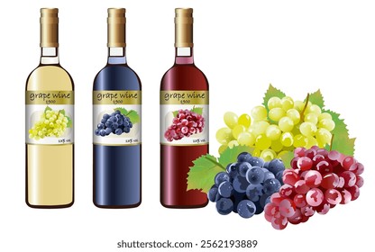 Grapes and red wine illustration design