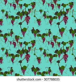 grapes seamless background. colorful vector illustration