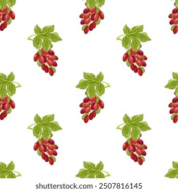 Grapes seamless pattern. Grapevine with leaves and red berries, vinery elements. Fresh harvest, agricultural market goods. Fruit vector illustration on white background