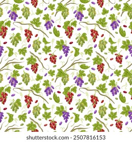 Grapes seamless pattern. Grapevine with leaves and ripe berries, vinery elements. Fresh harvest, agricultural market goods. Fruit vector illustration on white background