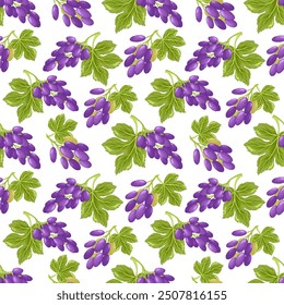 Grapes seamless pattern. Grapevine with leaves and purple berries, vinery elements. Fresh harvest, agricultural market goods. Fruit vector illustration on white background