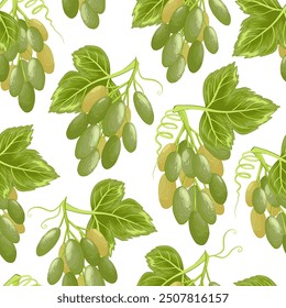 Grapes seamless pattern. Grapevine with leaves and ripe green berries, vinery elements. Fresh harvest, agricultural market goods. Fruit vector illustration on white background