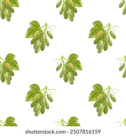 Grapes seamless pattern. Grapevine with leaves and ripe green berries, vinery elements. Fresh harvest, agricultural market goods. Fruit vector illustration on white background