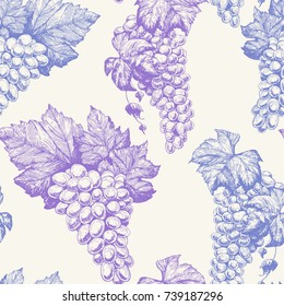 Grapes seamless pattern. Hand drawn vector illustration. Wine shop and grapes farm design.