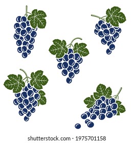 Grapes set. Collection icons grapes. Vector