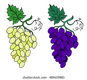 Grapes set fruit vector Illustration. Object isolated on white background. Doodle style. Cloth design, wallpaper, wrapping, menu, restaurant, cafe, kitchen,textile,paper,card,invitations,holiday.Eps10