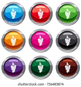 Grapes set icon isolated on white. 9 icon collection vector illustration