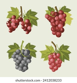 Grapes set. Vector illustration of a bunch of grapes.