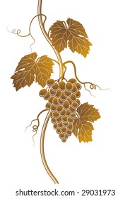 Grapes silhouette