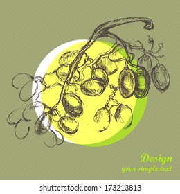 grapes sketch