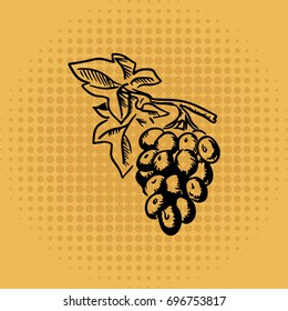 Grapes sketch on retro background.