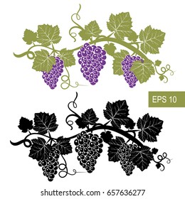 The grapes are symbols. Template. Vector isolated signs. Isolated white background.