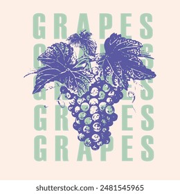 Camiseta de uvas, dibujo adecuado para el diseño de etiquetas de vino, boceto en estilo pop art, Ilustración vectorial en blanco y negro, diseño de impresión de ropa de camiseta. diseño de camiseta para textil. diseño básico. 