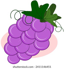 Grapes, Thai fruit, vector illustration set of Thai fruits.