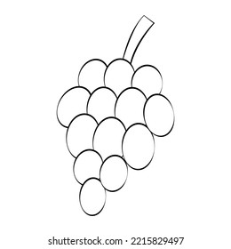 Grapes in a thin line. Vector on a white background